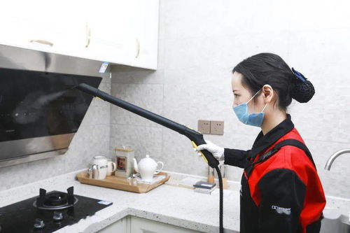 安心找家政，幸福購生活——三替集團(tuán)上演家政年貨盛宴